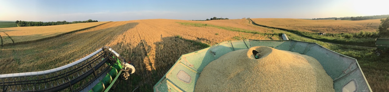 Barley Harvest Panoramic Header Image